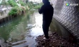 阿哈水库爆料视频大全,揭秘水库背后的惊人真相