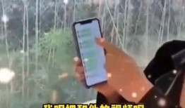 台媒瘦子爆料视频在线观看,揭秘娱乐圈幕后真相