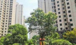金地国际城爆料最新消息,揭秘项目动态与未来规划