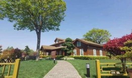 线上在线观看,线上在线观看的无限魅力