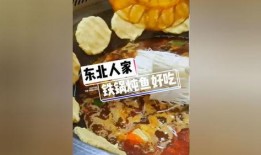 东北饮食爆料视频大全集,揭秘视频大全集里的地道风味