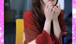 新的姐姐在线观看,揭秘热门剧集背后的精彩故事