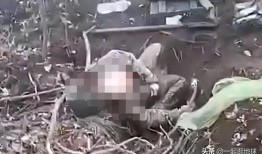 乌克兰战俘爆料视频播放,揭秘战地真实情况与生存困境