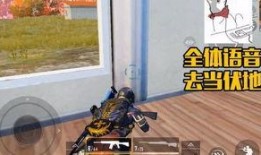 和平主播最新爆料是谁啊,揭秘神秘人物身份引热议