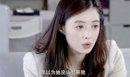 王媛被人爆料视频,揭秘背后真相与争议