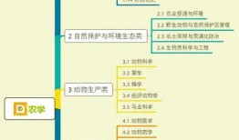 咖喱兄弟爆料视频大全集,揭秘幕后故事与精彩瞬间