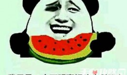 娱乐吃瓜酱玩医疗梗