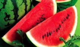 博雅吃瓜网红叫什么名字,揭秘网络红人的幕后故事