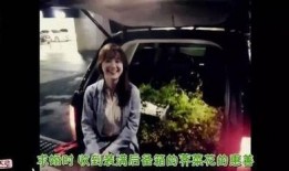 韩国娱乐圈爆料安宰贤,揭秘明星背后的真相