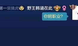 韩涵爆料事件视频播放网站,揭秘视频播放网站背后的真相