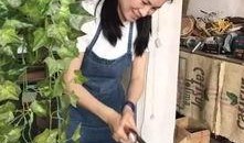 朱小贞保姆爆料了吗视频,揭秘背后惊人真相