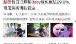 娱乐圈隐秘大爆料小说,揭秘隐秘大爆料背后的真相