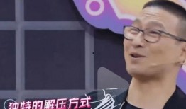 狗崽爆料汪峰视频在线观看,独家视角揭秘明星幕后生活