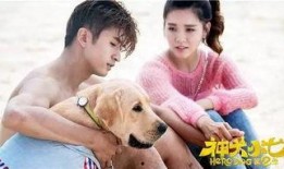 神犬小七2在线观看,忠诚守护，再续传奇