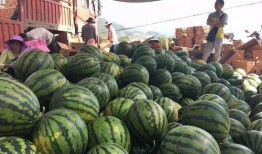 炸裂瓜最新爆料,娱乐圈最新重磅爆料！