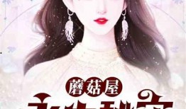 娱乐圈隐秘大爆料小说,揭秘隐秘大爆料背后的真相